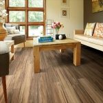 Shaw Luxury Vinyl Shaw Floorte Alto Plank Plus 00676 Caplone