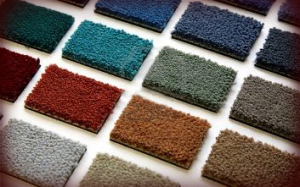 StainMaster Carpet Color Selection