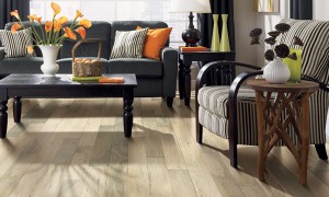 Harris Wood Engineered Hardwood Floor Review