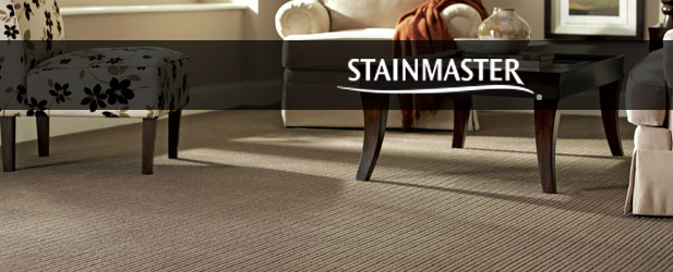 STAINMASTER Carpet