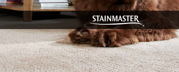 stainmaster petprotect pet friendly carpet