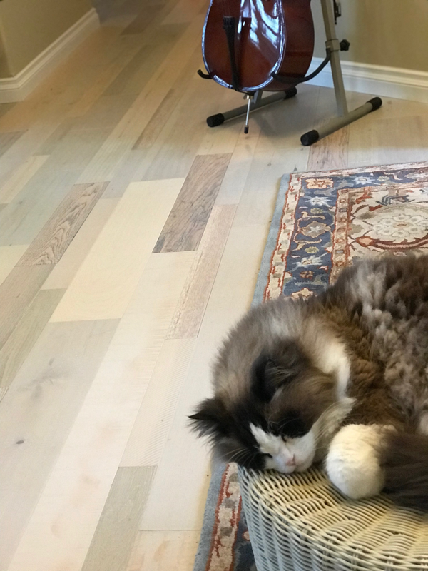 Armstrong Hardwood Flooring Customer Installation Debbie Cantwell